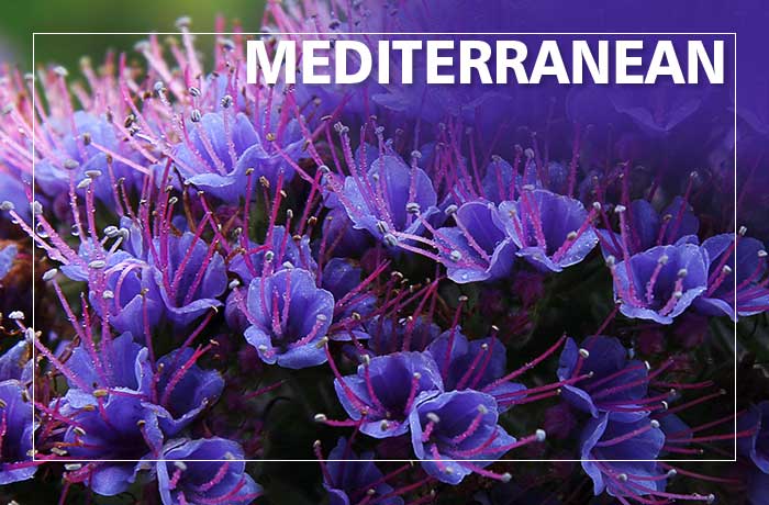 Radio Times Gardening Offers